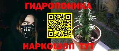 ГАЛЛЮЦИНОГЕННЫЕ ГРИБЫ Малоярославец