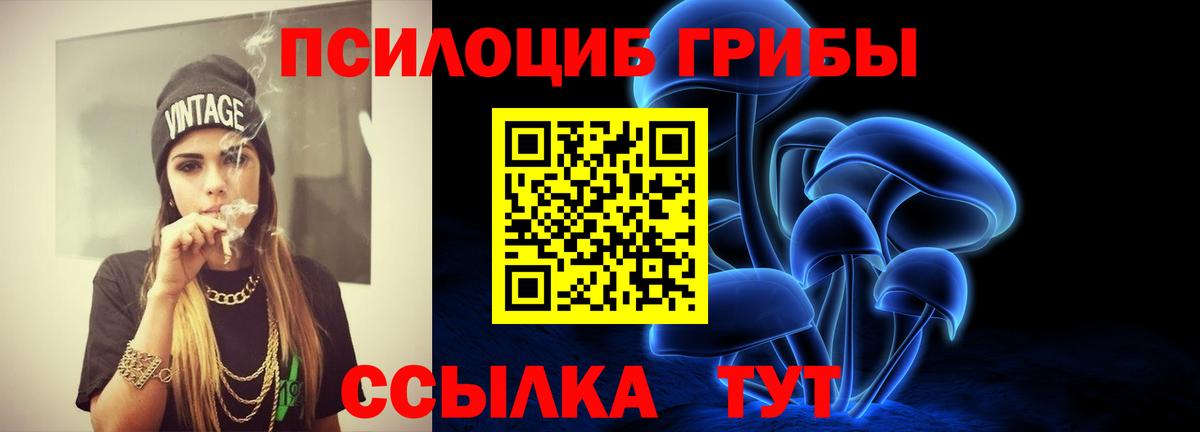 Псилоцибиновые грибы Psilocybe  Вход с VPN  Галлюциногенные грибы Psilocybine cubensis  Новомосковск 